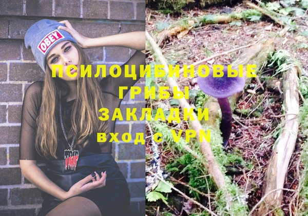 винт Белокуриха