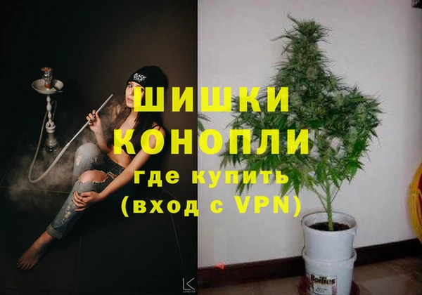 винт Белокуриха