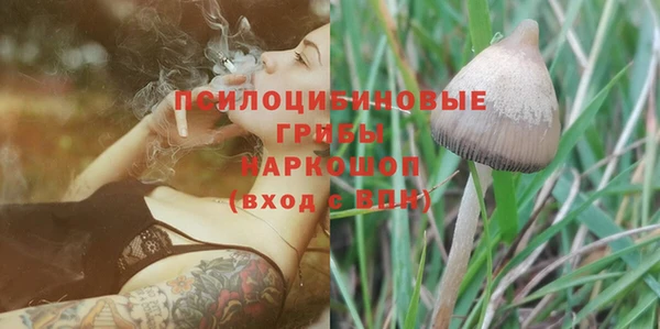 винт Белокуриха