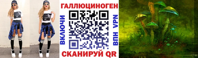 Галлюциногенные грибы Psilocybe  наркотики  Бородино 